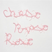Clara Cousineaus künstlerische Praxis bewegt sich zwischen Skulptur, Fotografie, Objektkunst und visueller Sprache. Ausgehend von Alltagsgegenständen, Fundstücken und materiellen Spuren untersucht sie, wie Bedeutung entsteht und wie sich Erinnerungen, Geschichten und kulturelle Codes in Dinge einschreiben. Dabei verwandelt sie vermeintlich Banales in poetische Bild- und Denkräume, in denen sich Zufall, Beobachtung und Konstruktion begegnen. In der Ausstellung werden Arbeiten aus den Serien Slow Sculptures, Objectifier l’écriture und Note à moi-même / Note to Self gezeigt. In Chose, Prose, Rose aus der Serie Slow Sculptures werden aus wiederverwendeten Kleiderbügeln skulpturale Wortgebilde, die Sprache und Objekt miteinander verschränken. Matrice/matrice aus der Serie Objectifier l’écriture basiert auf historischen Druckmatrizen, die während einer Renovierung zufällig in den Wänden eines Hauses in Québec entdeckt wurden. Aus den Formen alltäglicher Gebrauchsgegenstände entwickelt Cousineau abstrakte und typografische Kompositionen, die Fragen nach Reproduktion, Schrift und materieller Erinnerung aufwerfen. Die fotografische Serie Note à moi-même / Note to Self dokumentiert einen kleinen gelben Wohnwagen kurz vor seinem Abriss und reflektiert die Fragilität von Orten, Erinnerungen und Momenten des Übergangs. Die Werkgruppe wird zeitgleich im Juli im Künstlerzentrum La Maison du Notaire in Trois-Pistoles gezeigt, jener Kleinstadt, in der sich das Gebäude befindet. In ihrem Werk verbindet Clara Cousineau Sprache, Fotografie und Fundstücke zu einer vielschichtigen Erzählung über Vergänglichkeit und Transformation.