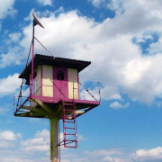 Daniela Finke, Birdie, 2003, Piezo Pigment Print auf Premium Semigloss, 30 x 40 cm