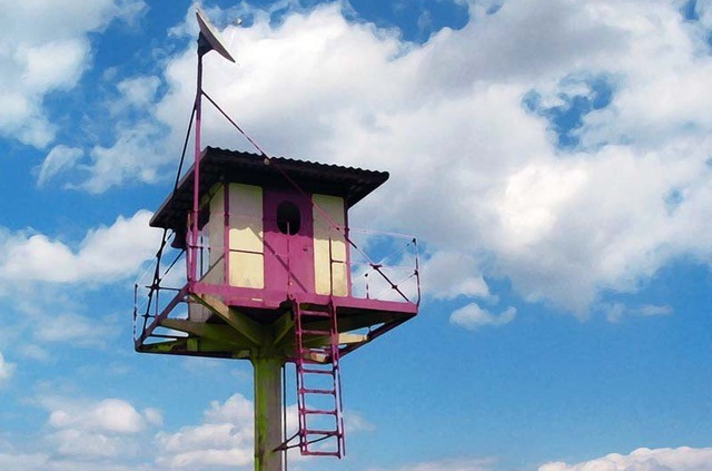 Daniela Finke, Birdie, 2003, Piezo Pigment Print auf Premium Semigloss, 30 x 40 cm