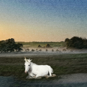 Esther Gronenborn, Look What I found in my magic garden, 2023, Photocollage und malerische Bearbeitung, Fine Art Print auf Hahnemühle William Turner, 33,2 x 23,2 cm