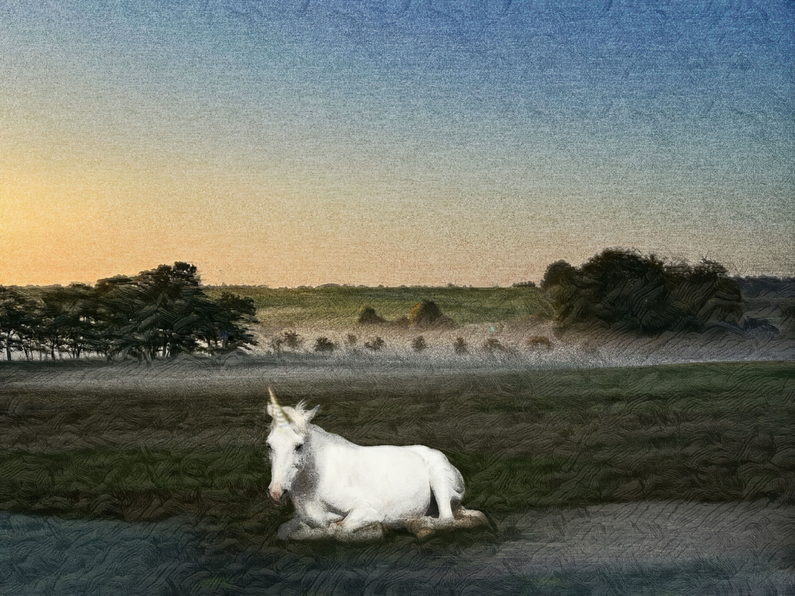 Esther Gronenborn, Look what I found in my magic garden, 2023, Photocollage and artistic enhancement, fine art print on Hahnemühle William Turner, 33,2 x 23,2 cm