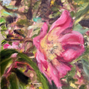 Tanja Selzer, Rose, 2026, Öl auf Leinwand, 50 x 40 cm